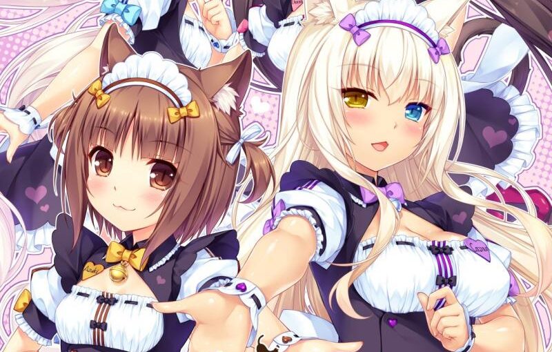 【R0176】[NEKO WORKs]ネコぱら Vol.2 姉妹ネコのシュクレ 官方中文版