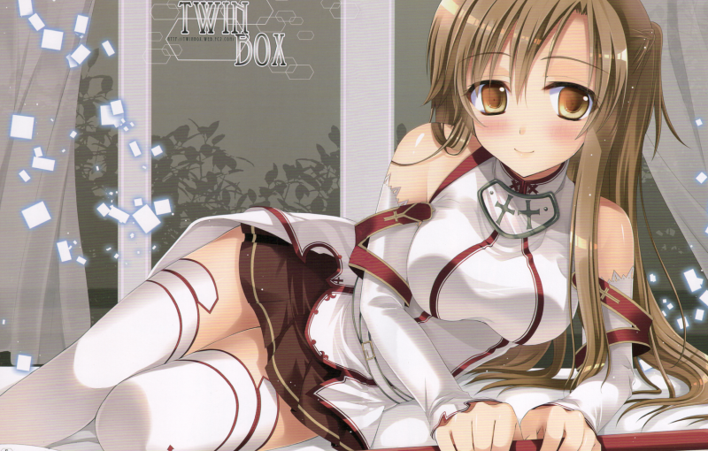 【S0030】[度云已挂]刀剑神域66本合集