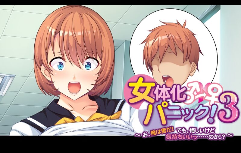【R1340】[アパタイト/appetite]女体化panic！3 ～老…老子是男的！不过…虽然不甘心但感觉很爽！？～游戏本体+CG