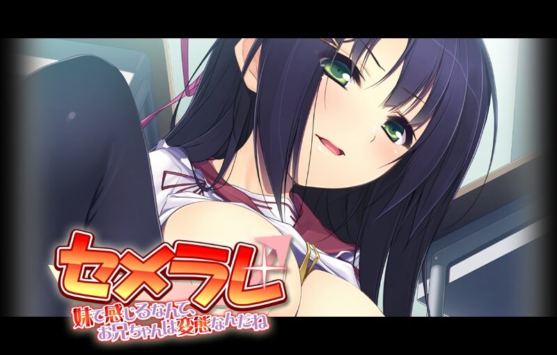 【R1458】[アパタイト/appetite] セメラレ～妹で感じるなんて、お兄ちゃんは変態なんだね～游戏本体+CG