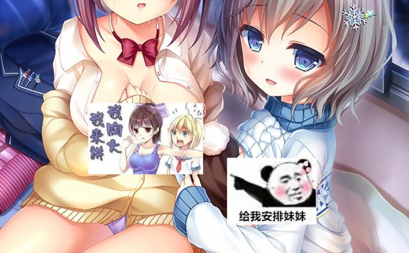 【R1584】[はむはむソフト] 雪の夜、俺は妹を裸にする。 游戏本体+CG存档