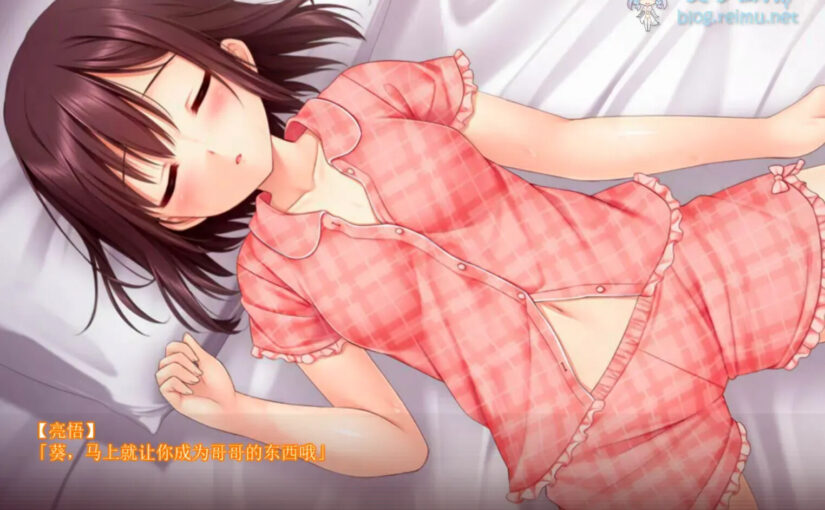 【R2957】[安卓][电脑][クレージュエース] 妹寝取り～身も心もお兄ちゃんのモノ～ / 妹妹寝取～身心都是哥哥的所有物～ 汉化硬盘版 V1.1