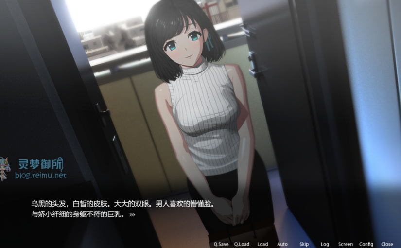 【R3132】[安卓][电脑][SORAREVO] ROOM 官方中文版 V2.041