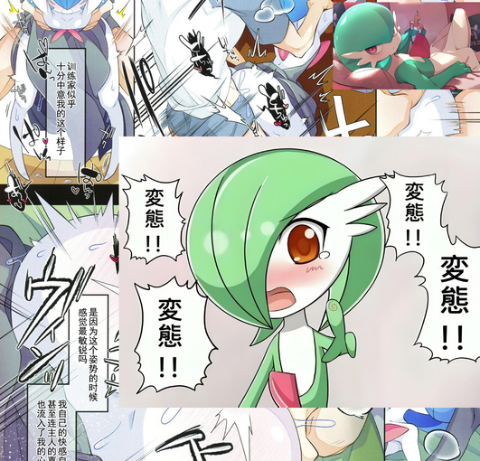 【R3309】[宝可梦] 全彩汉化合集 (12本+35本 1.16G)